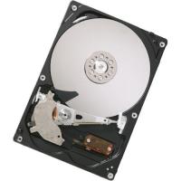 500GB HDP725050GLAT80 PATA