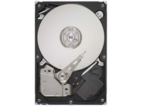 Produktbild: HD SATA 1TB 32MB ST31000528AS 7200rpm